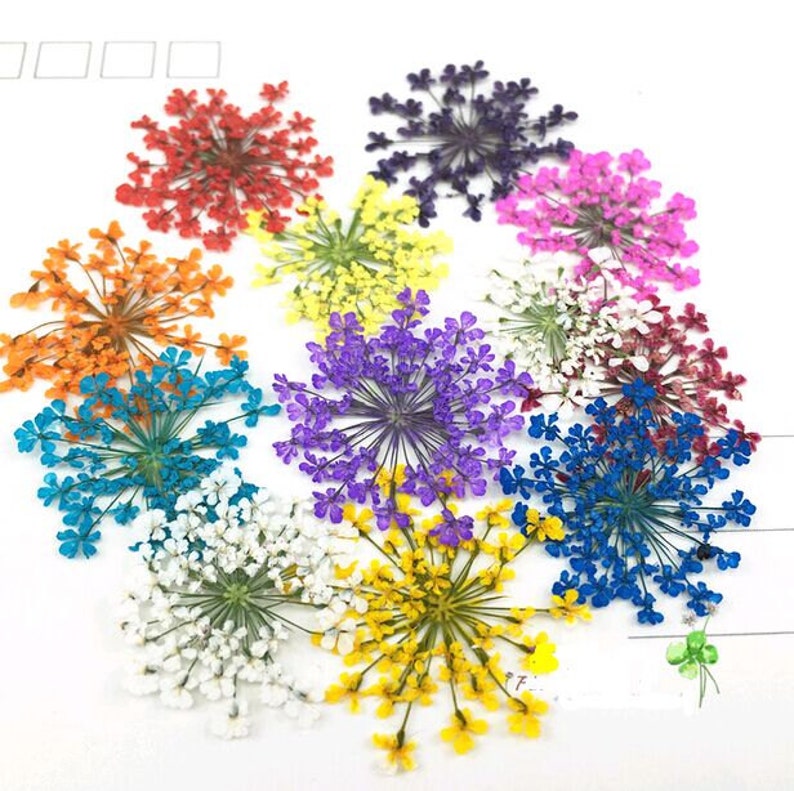 12Pcs Silicone Mould / Crystal Glue Partner Dry Flower for Diy Decoration Resin Bracelet/Ring/ Pendamt DT050 9 color for choosing image 1