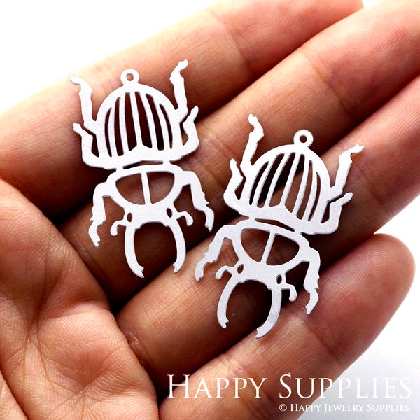 Stainless Steel Charms, Beetle Pendants, Brass Findings, Necklace Pendants, Earrings, Jewelry Supplies, Beetle Brass Charms (SSD841)