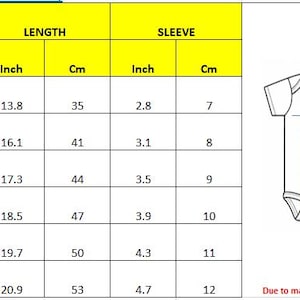 Conjunto personalizado de camiseta de fútbol de EE. UU., body para bebé con la bandera estadounidense, camisetas de fútbol a juego para toda la familia, atuendo personalizado para aficionados de EE. UU., ropa para el día del partido de EE. UU. imagen 15