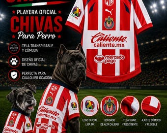camiseta chivas de guadalajara perro