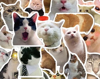 10-50 Cat Meme Kitty Faces Cute Cats Random Waterproof Sticker Set - Assorted Artwork, Cute Character Art Stickers, Anime Stickers