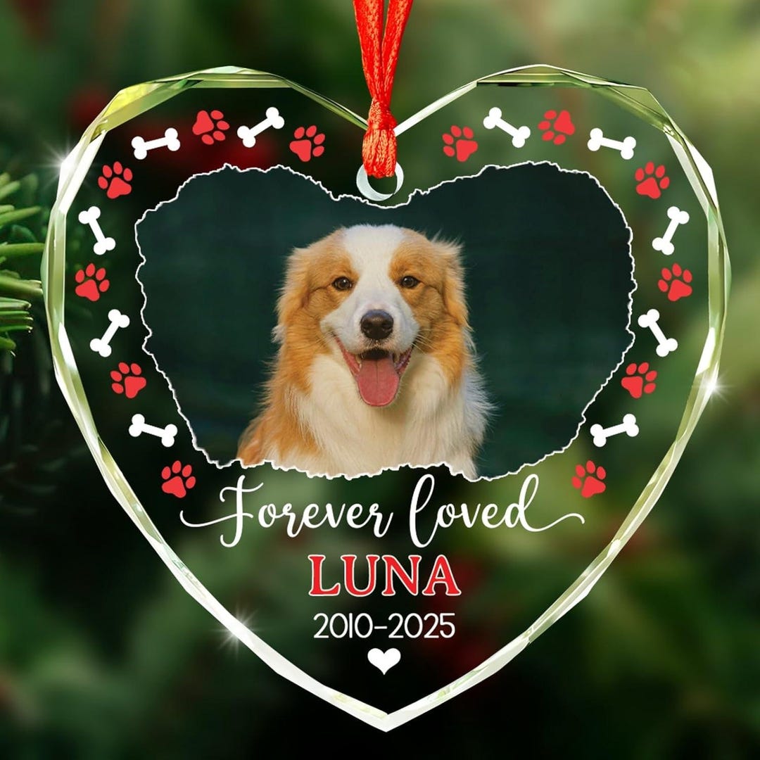 Personalized Pet Memorial Ornament 2025, Forever Loved Dog Glass ...