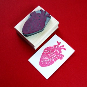 Heart Stamp - Anatomical Heart Stamp by Skull and Cross Buns - Gift for Doctor - Nurse - Wedding Stamp - Alternative Wedding - Valentine