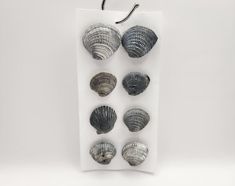 Ocean Magnet | Seashell Fridge Magnet