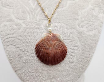 Gold Scallop Shell Necklace, Real Seashell Pendant, Florida Coastal Jewelry