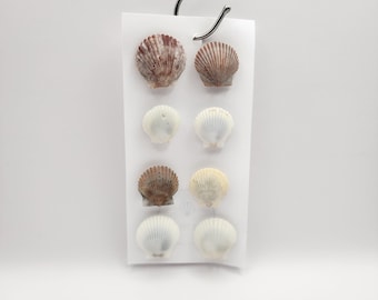Ocean Magnet | Seashell Fridge Magnet