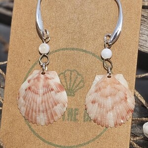 May include: A pair of dangle earrings featuring natural fan-shaped scallop shells with white and reddish-brown radial patterns. Each shell hangs from a silver-toned hook by a small white bead and a metal jump ring, displayed on a brown card.