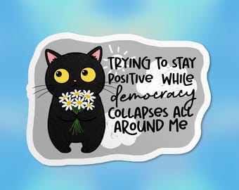Fall Of Democracy Sticker, Black Cat, Against Fascism, Activism Racism, Political Waterproof Vinyl Stickers Die-cut Laptop Gifts