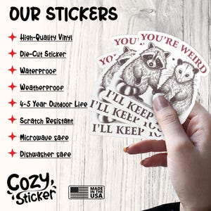 May include: A collection of die-cut stickers featuring raccoon and opossum illustrations. The stickers have the phrases "You're Weird" and "I'll Keep" printed on them. The image also includes text that says "Our Stickers" and "Cozy Sticker".