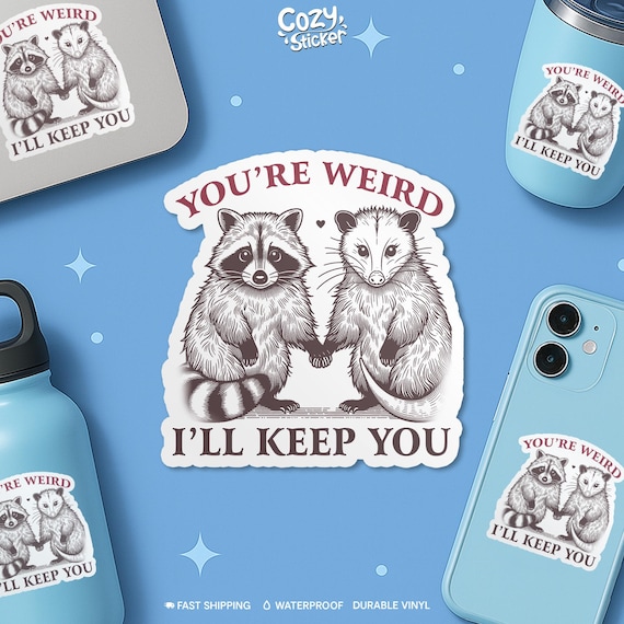 You're Weird I'll Keep You Sticker, Funny Opossum Possum Raccoon Decal Sticker Friends Waterproof Vinyl Stickers, Laptop, Kindle Gifts
