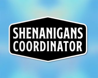 Pegatina de coordinador de travesuras, entusiasta de las travesuras, pegatinas sarcásticas divertidas, pegatina de vinilo impermeable, regalo para Kindle