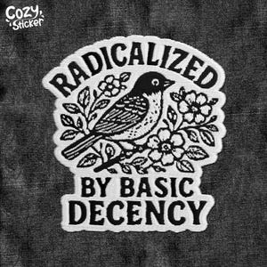 Radicalized by Basic Decency Patch, Protest Democracy Human Rights Embroidered Patch Applique for Hats Backpacks Jackets Gifts for Her Him