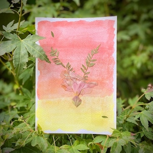 Carte faite main | Fleurs séchées | Aquarelle de fond jaune et rouge | Blanc à l'intérieur | Fabriqué en Australie |  Dégradé aquarelle | Couleur coucher de soleil