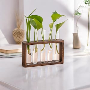 Pflanzenvermehrungsstation - Hydroponischer Glaspflanzer - Vermehrung Heimdekoration - Geschenk für Gärtner - Desktop Terrarium Vase - Bonsai