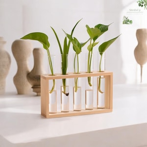Pflanzenvermehrungsstation - Hydroponischer Glaspflanzer - Vermehrung Heimdekoration - Geschenk für Gärtner - Desktop Terrarium Vase - Bonsai