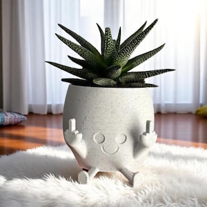 Smiley Face Resin Plant Pot – Funny Middle Finger Planter for Houseplants