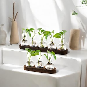 Pflanzenvermehrungsstation Geschenk - Hydroponische Station für den Anbau von Pflanzensteckern - Terrarium Vase - Gärtner Geschenk - Geschenk für Sie oder Ihn