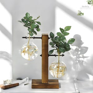 Pflanzenvermehrungsstation - Hydroponische Station für den Anbau von Pflanzensteckern - Terrarium Vase - Gärtner Geschenk - Geschenk für Sie oder Ihn