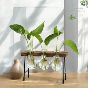 Pflanzenvermehrungsstation Geschenk - Hydroponische Station für den Anbau von Pflanzensteckern - Terrarium Vase - Gärtner Geschenk - Geschenk für Sie oder Ihn