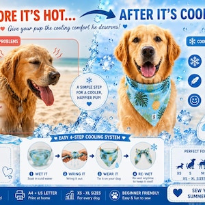 Puede incluir: Un gráfico instructivo digital para un pañuelo refrescante para perros con un golden retriever, texto BEFORE IT'S HOT... AFTER IT'S COOL!, un diagrama de sistema de enfriamiento de cuatro pasos, tallas de XS a XL e iconos de verano.