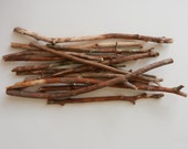 Bare Wood Branches 11 - 17 inches tall / natural rustic branches / vase filler / woodland home decor / land driftwood