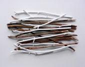 Branches 11 - 17 inches tall / bare wood  / white branches / natural rustic branches / vase filler / woodland home decor / winter home decor