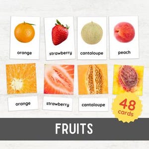 24 FRUITS Whole & Cut Flash Cards | Pattern Matching Game 3 Part Nomenclature | Montessori Inspired Printable Real Pictures