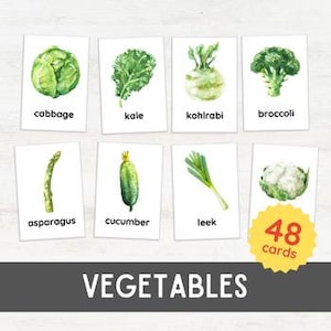 48 VEGETABLES Flash Cards | Simple Watercolor 3 Part Card Nomenclature | Montessori Inspired Printable Healthy Food