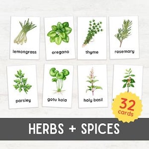 32 cartes éclair HERBES | Carte en 3 parties de naturopathie pour plantes d'âge préscolaire | Biologie pour enfants inspirée de Montessori