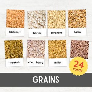 Tarjetas didácticas de 24 GRANOS / Vocabulario de alimentos Materiales de educación en casa Montessori Nomenclatura de 3 partes / Imágenes reales imprimibles inspiradas en Montessori