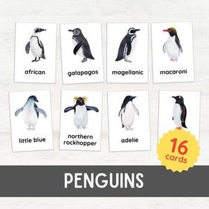 16 pinguïn-flashkaarten | Nomenclatuur waterverfafbeelding 3-delige kaarten | Homeschool Natuurstudie Montessori geïnspireerd afdrukbaar