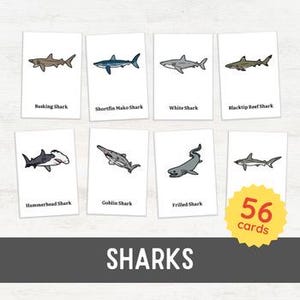 56 SHARKS Flash Cards | Ocean Life for Toddlers Marine Vocabulary 3 Part Cards | Kingdom Animalia Zoology Montessori Inspired Printable