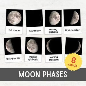 18 Schede Flash FASI LUNARI / Calendario del ciclo lunare di astronomia Schede in 3 parti Risorse per la scuola domestica / Stampabile ispirato a Montessori