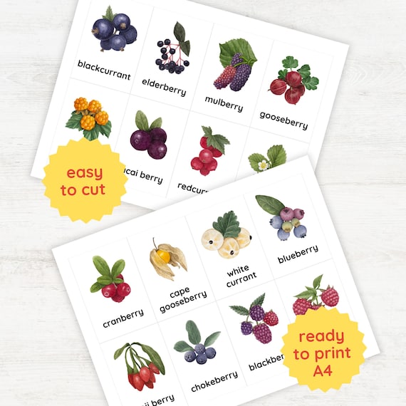 16 BERRIES Flash Cards | Fruits Learning for Preschool