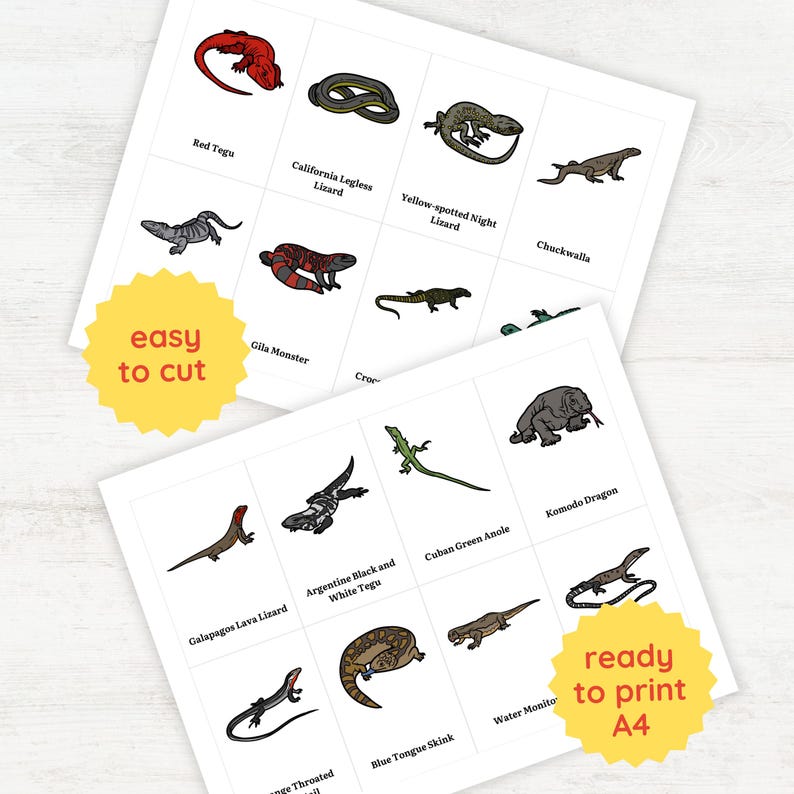 Lizards Printable Text 56 LIZARDS Flash Cards | Herpetology for Toddler Reptile English ...