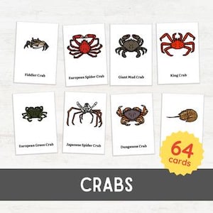 64 cartes éclair CRABES | Malacologie pour les tout-petits - Vocabulaire en 3 parties | Kingdom Animalia zoologie d'inspiration Montessori imprimable