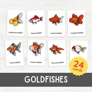 24 GOLDFISHES Flash Cards | Aquarium Fish for Toddlers Vocabulary 3 Part Cards | Kingdom Animalia Zoology Montessori Inspired Printable