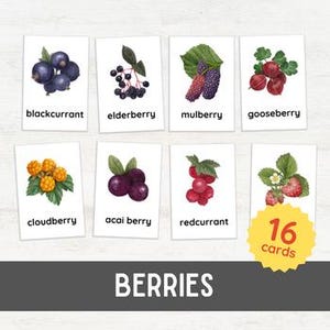 16 BERRIES Flash Cards | Fruits Learning for Preschool Nomenclature 3 Part Cards | Watercolor Montessori Inspired Printable