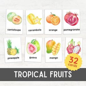 32 TROPICAL FRUITS Flash Cards | Plants 3 Part Montessori Inspired Teacher Resource | Biology for Kids Montessori Inspired