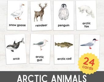24 tarjetas didácticas de animales del Ártico / Actividades de invierno polar en 3 partes para preescolar / educación en casa Estudio de la naturaleza Imprimible inspirado en Montessori