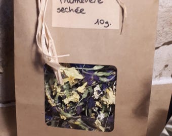 Fiori di Primula veris essiccati, commestibili, selvatici, raccolti nel sottobosco, senza inquinamento.