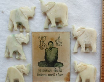 Buddha and bone elephants