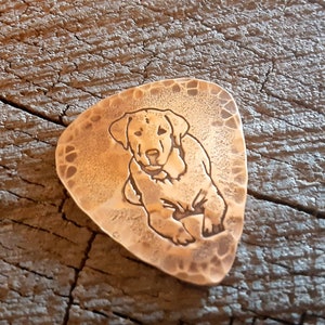 Bronze guitar pick- playable with dog and hammered edges