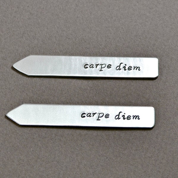 Carpe diem aluminum collar stays - CS802