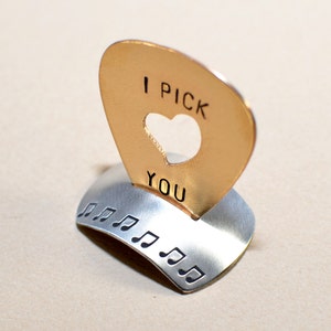 Used Notes Pick Stand Aluminum Guitar Pick Stand for the Serious Musician With Space to ...