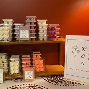 2.6oz Hand Poured Wax Melts