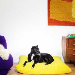 May include: A black dog with a white patch on its chest is lying on a yellow fluffy dog bed. The dog bed is on a wooden floor. There is a purple armchair in the background.