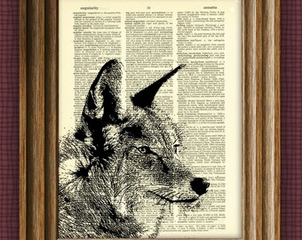 Coyote art | Etsy