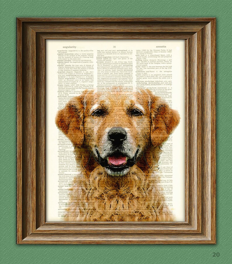 Golden Retriever dog beautifully upcycled vintage dictionary Etsy