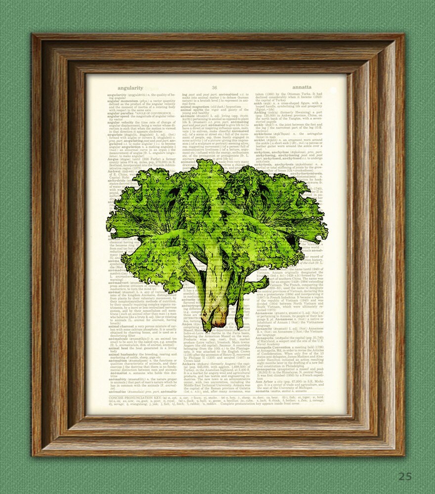 Green LETTUCE vegetable beautifully upcycled dictionary page Etsy
